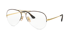 AVIATOR Gaze