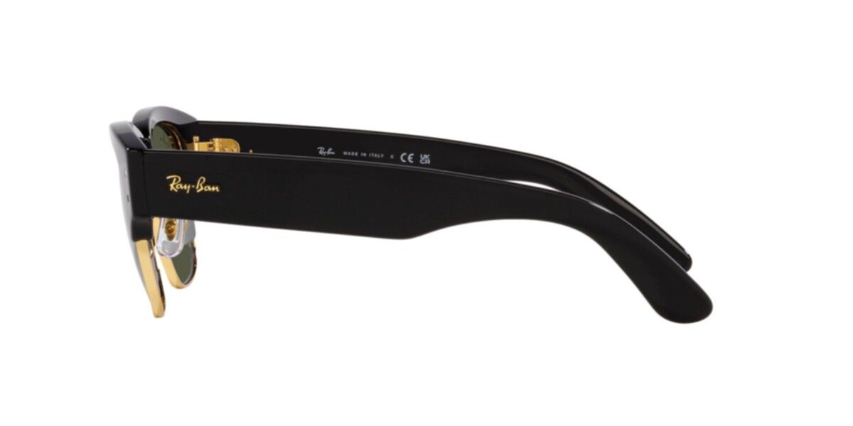 0RB0316S_black_5.jpg