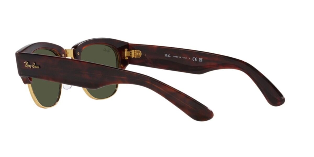 0RB0316S_havana_7.jpg