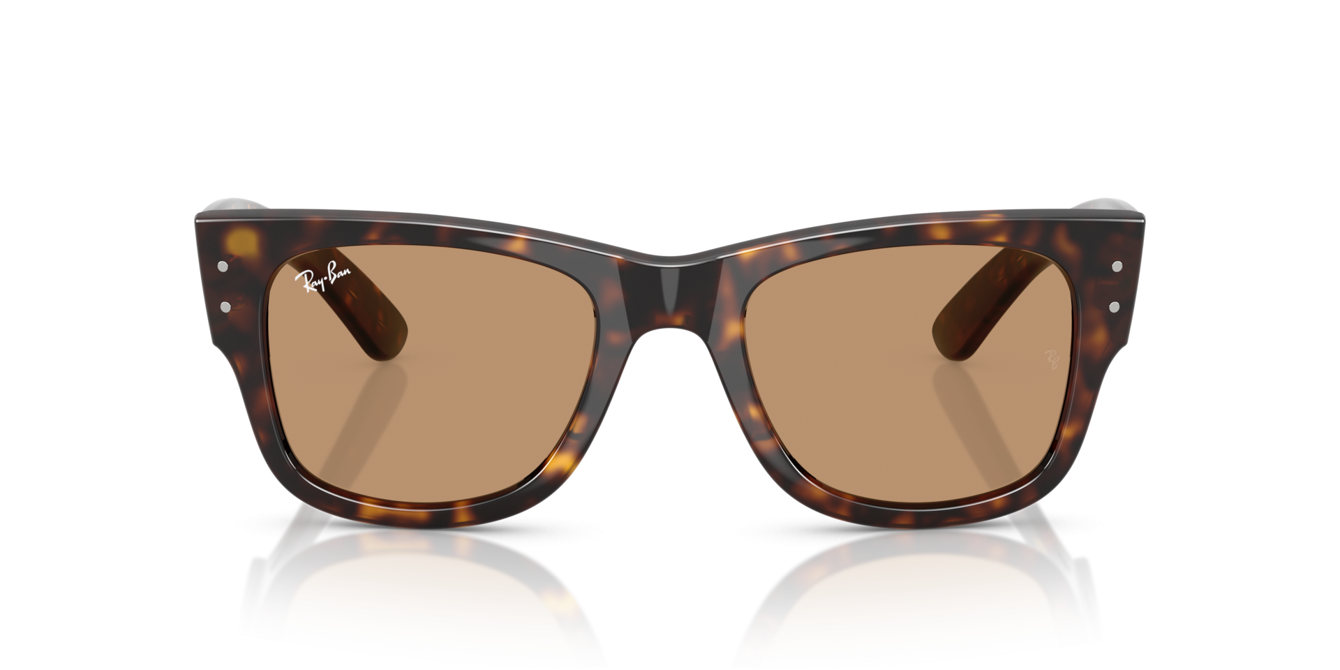 0RB0840S90253_2.png