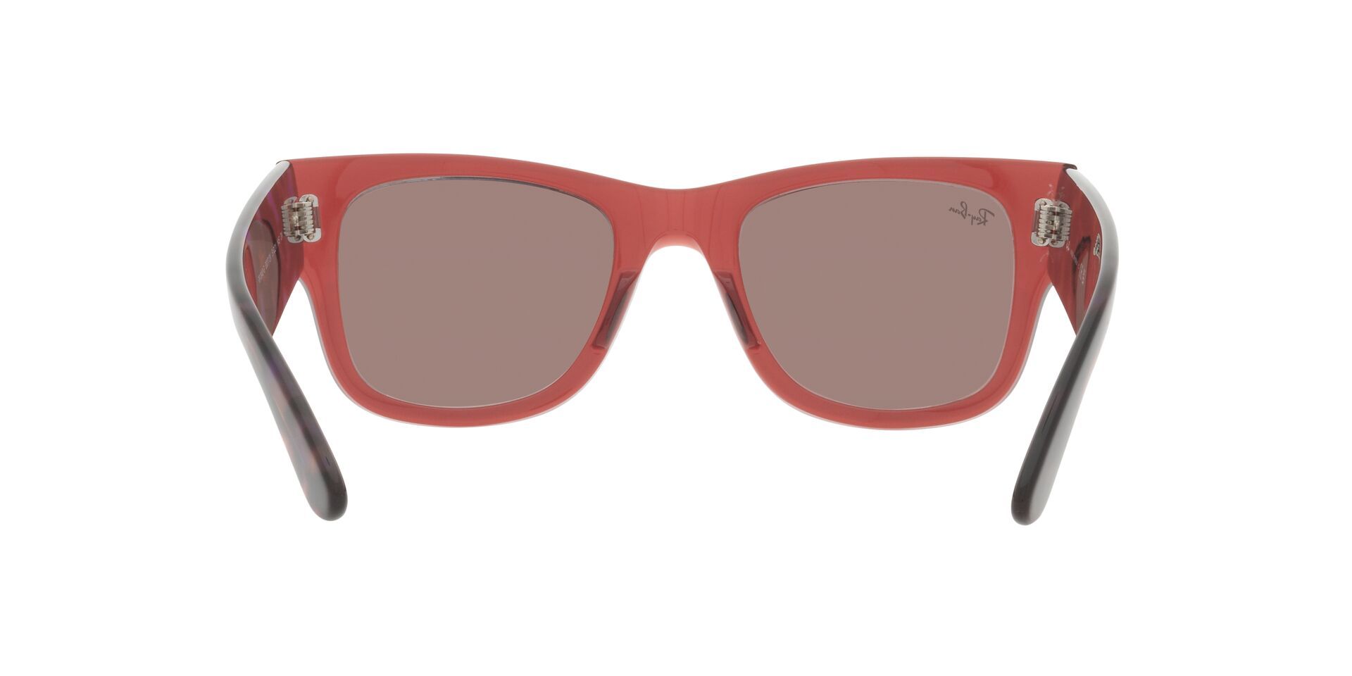 0RB0840S_brown_violet_havana_8.jpg