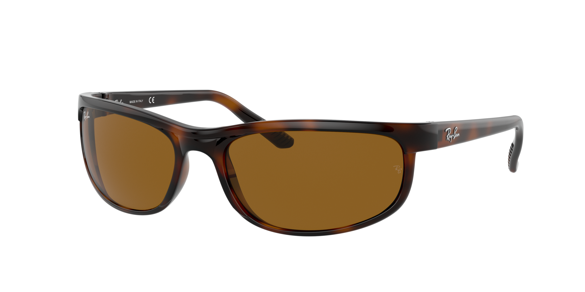 0RB2027650833_tortoise