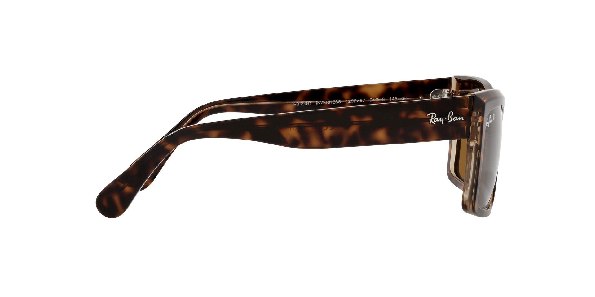 0RB2191_Tortoise-129257_10.png