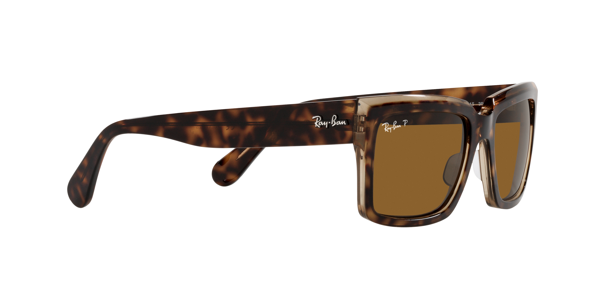 0RB2191_Tortoise-129257_11.png