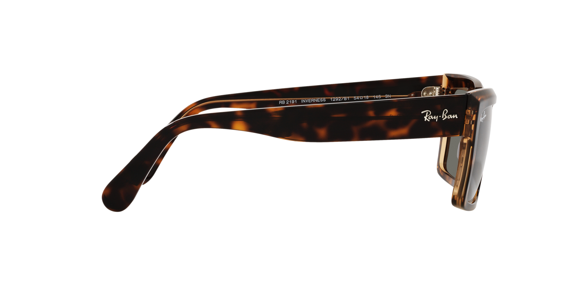 0RB2191_Tortoise-1292B1_10.png