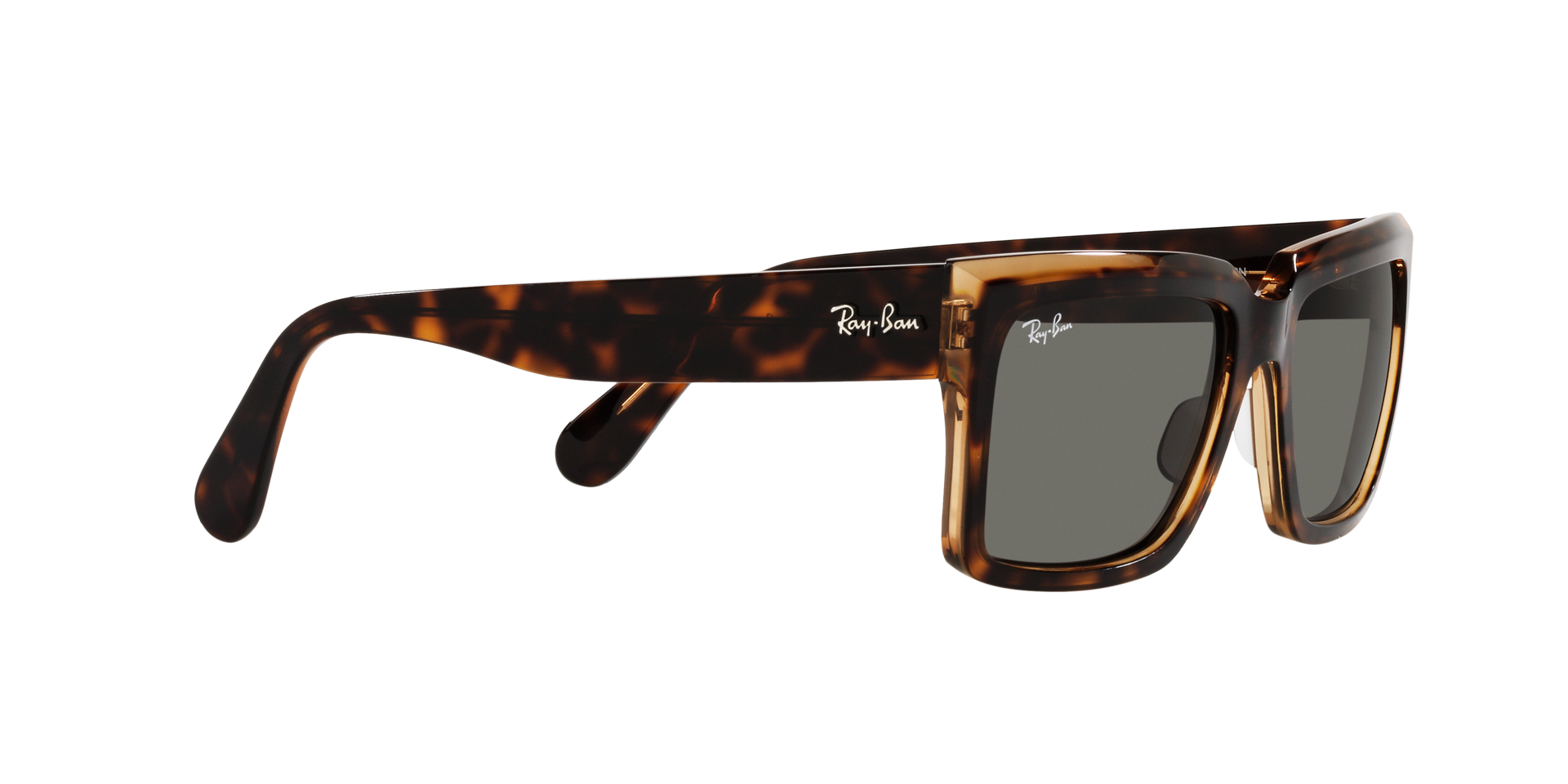 0RB2191_Tortoise-1292B1_11.png