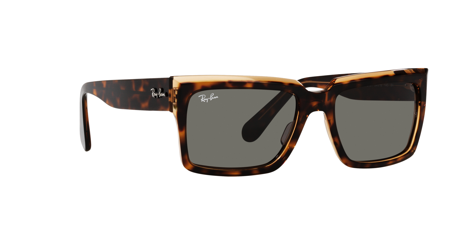 0RB2191_Tortoise-1292B1_12.png
