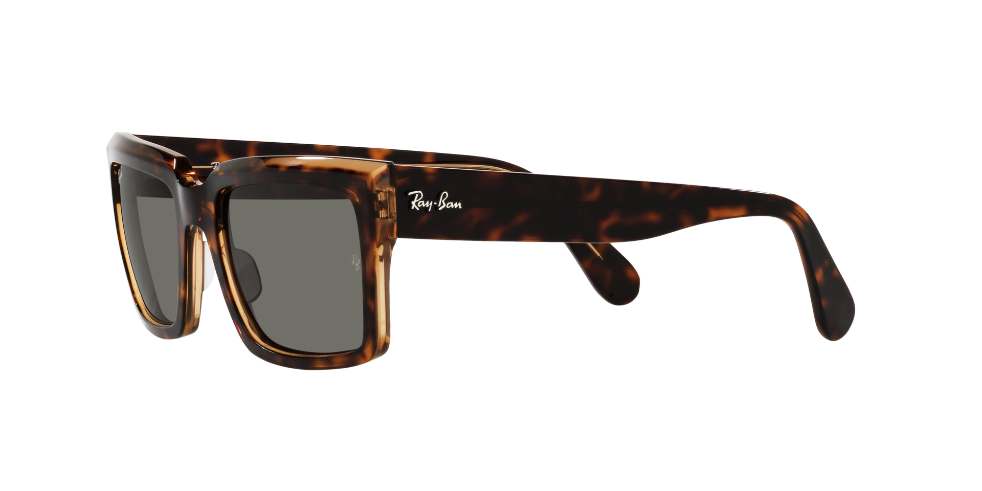 0RB2191_Tortoise-1292B1_3.png