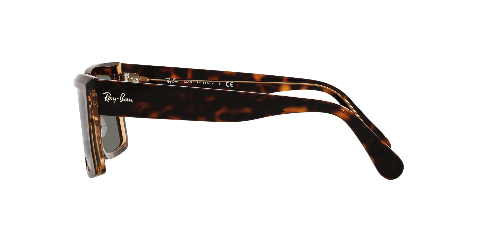 0RB2191_Tortoise-1292B1_4.png