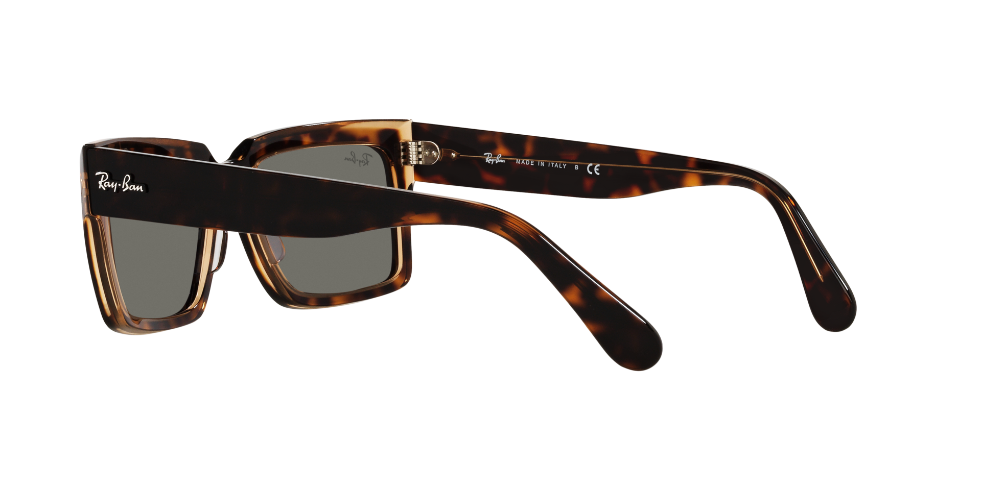 0RB2191_Tortoise-1292B1_5.png