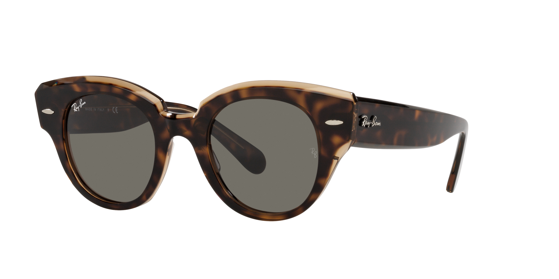 0RB2192_Tortoise-1292B1