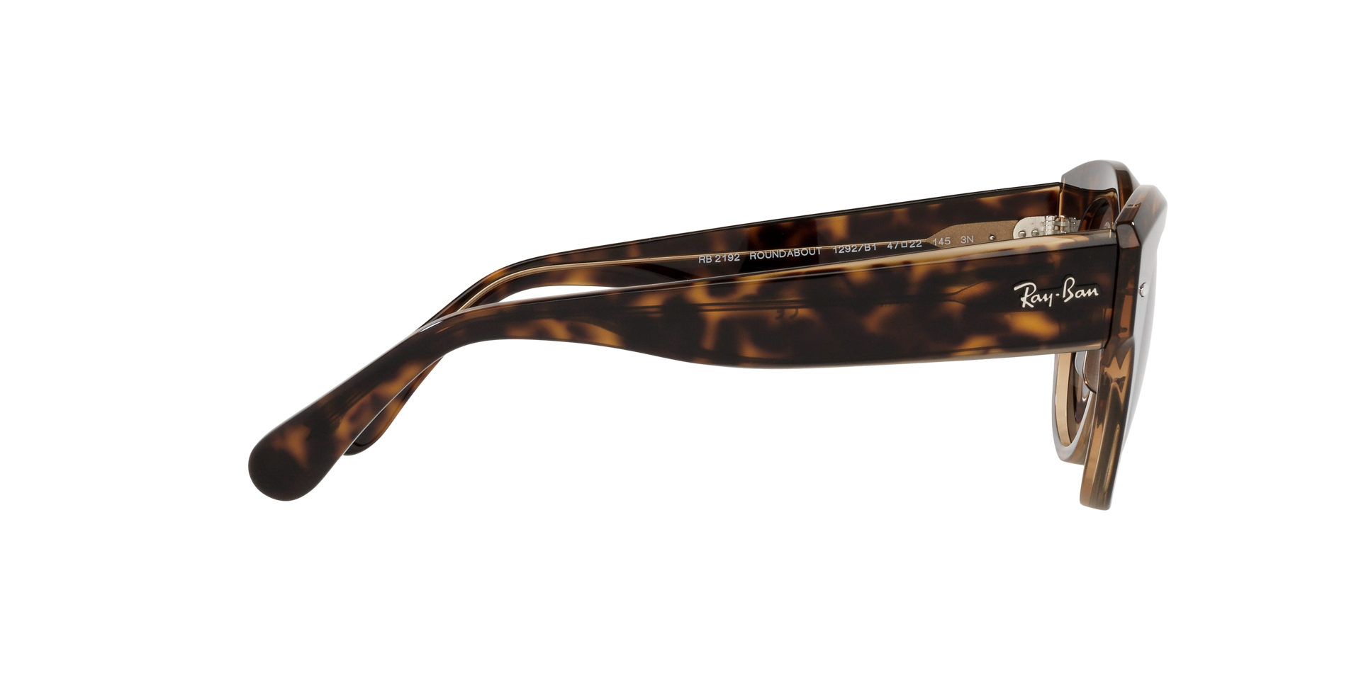 0RB2192_Tortoise-1292B1_10.png