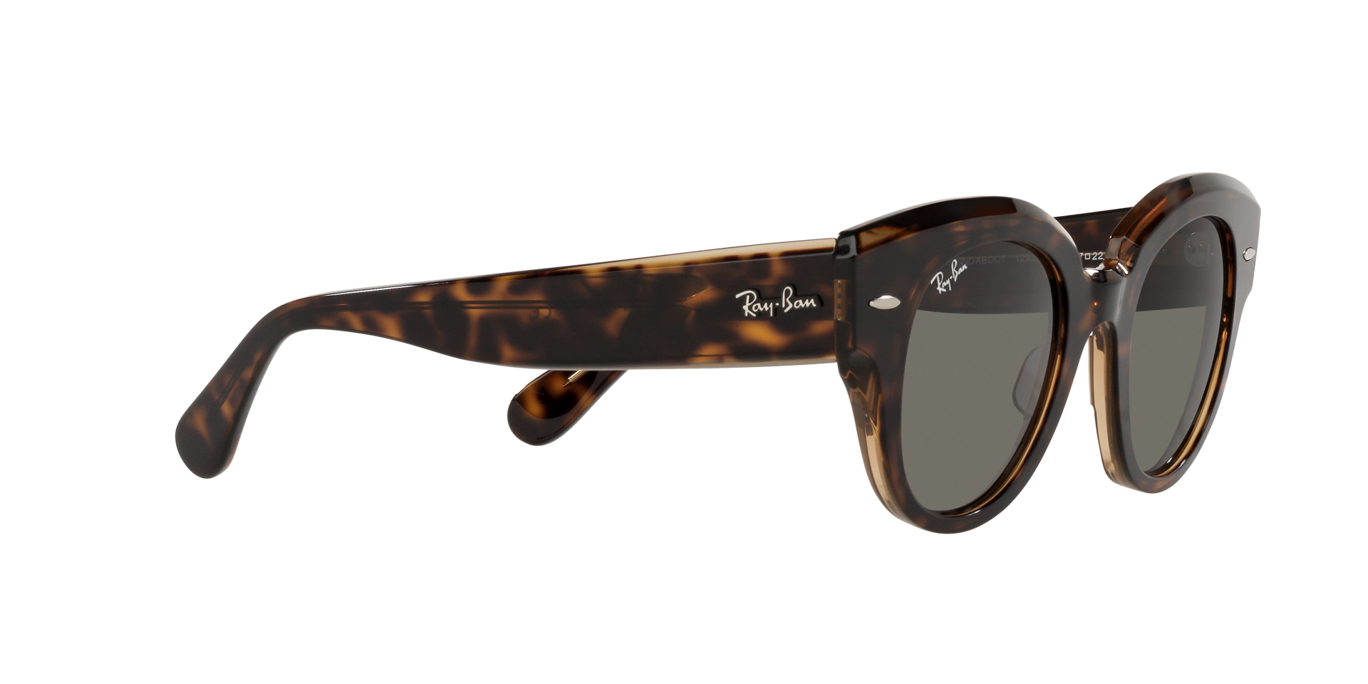 0RB2192_Tortoise-1292B1_11.png