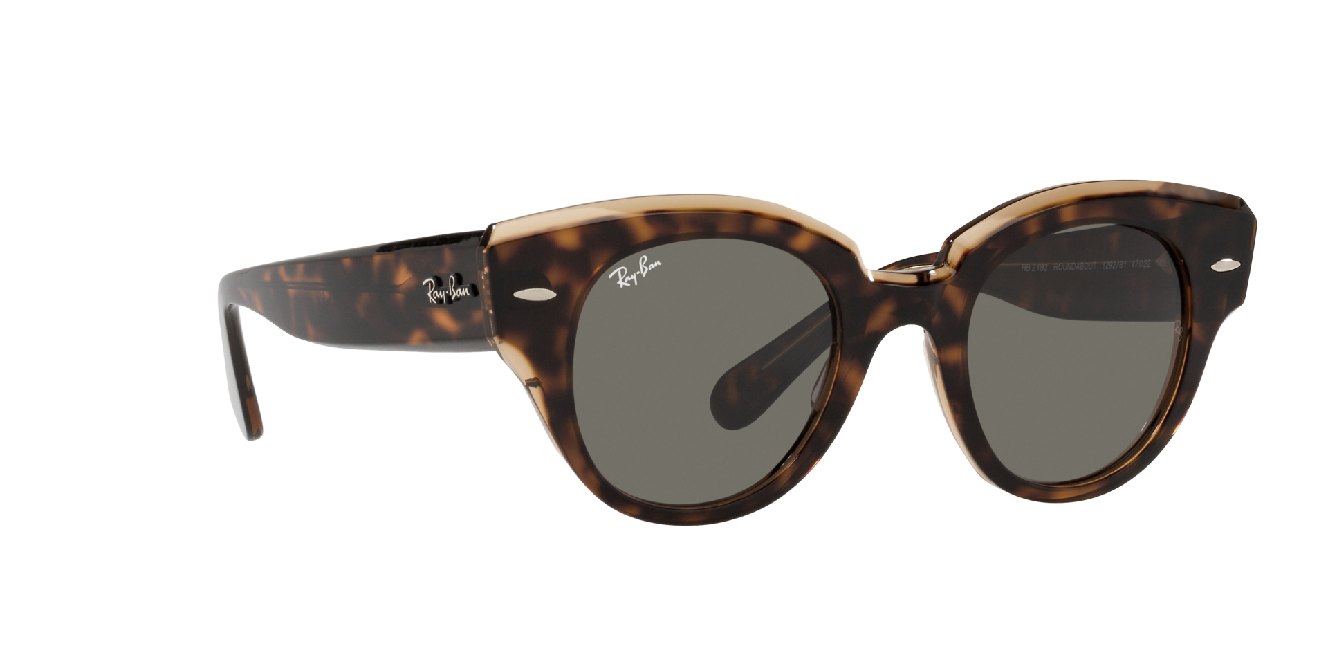 0RB2192_Tortoise-1292B1_12.png