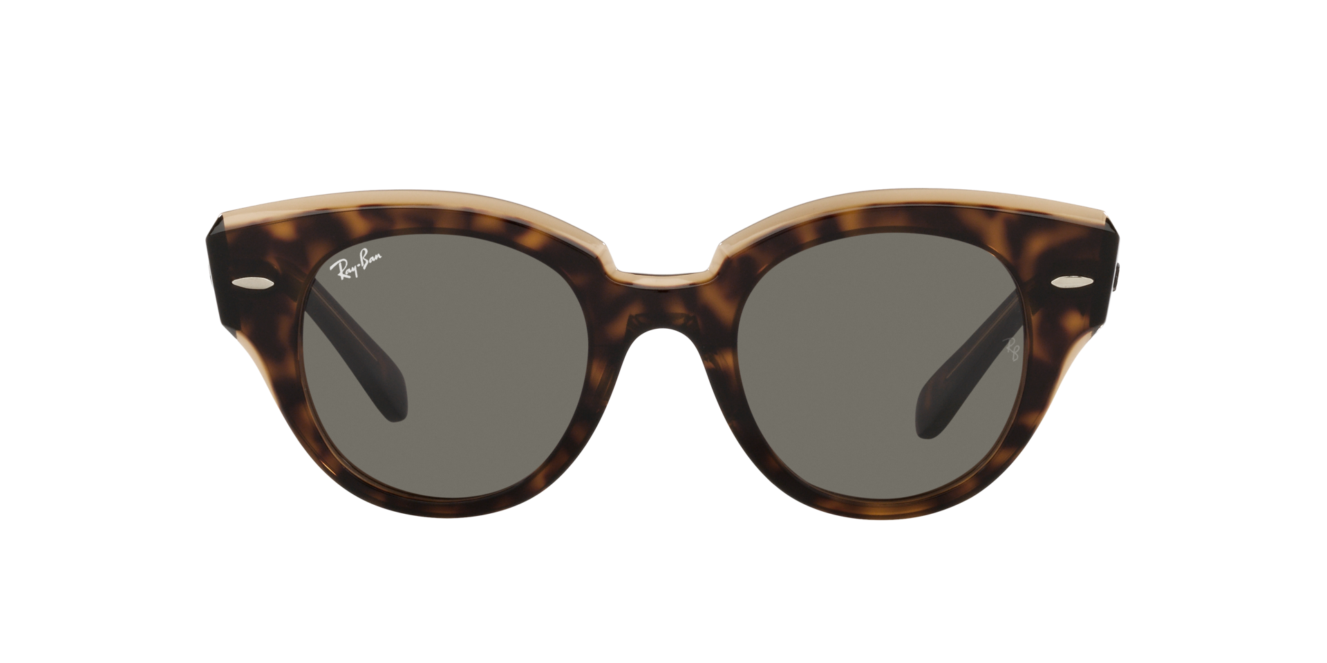 0RB2192_Tortoise-1292B1_2.png