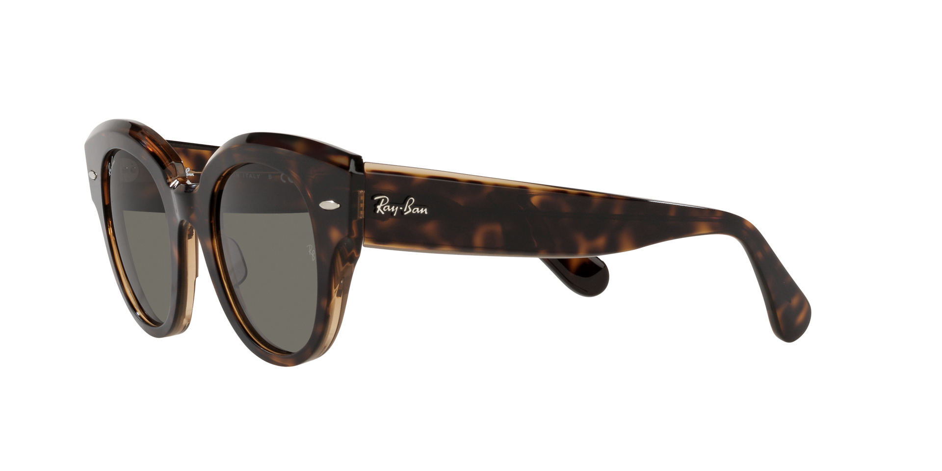0RB2192_Tortoise-1292B1_3.png