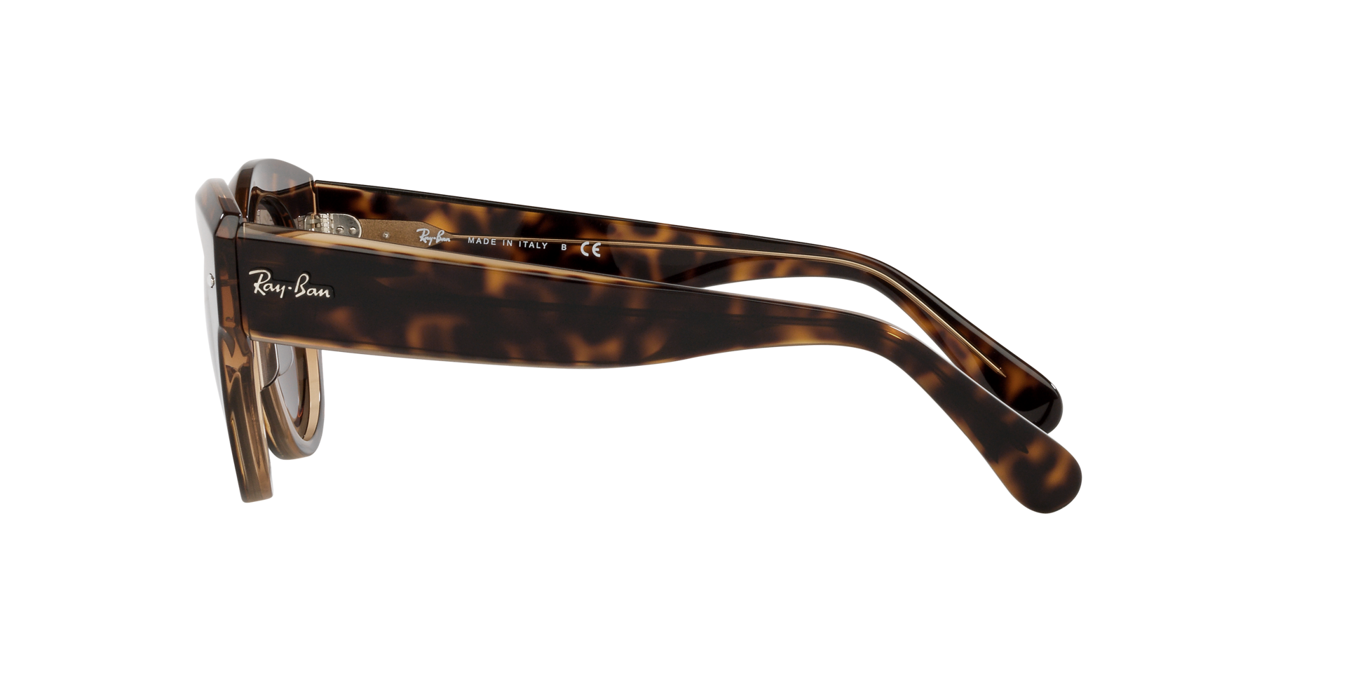 0RB2192_Tortoise-1292B1_4.png