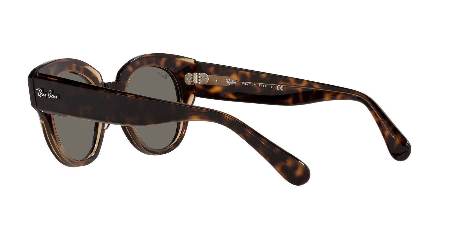 0RB2192_Tortoise-1292B1_5.png