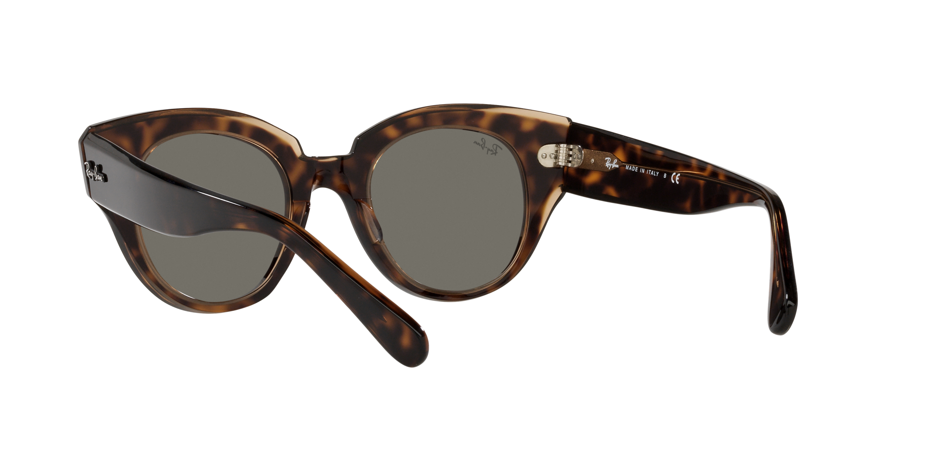 0RB2192_Tortoise-1292B1_6.png