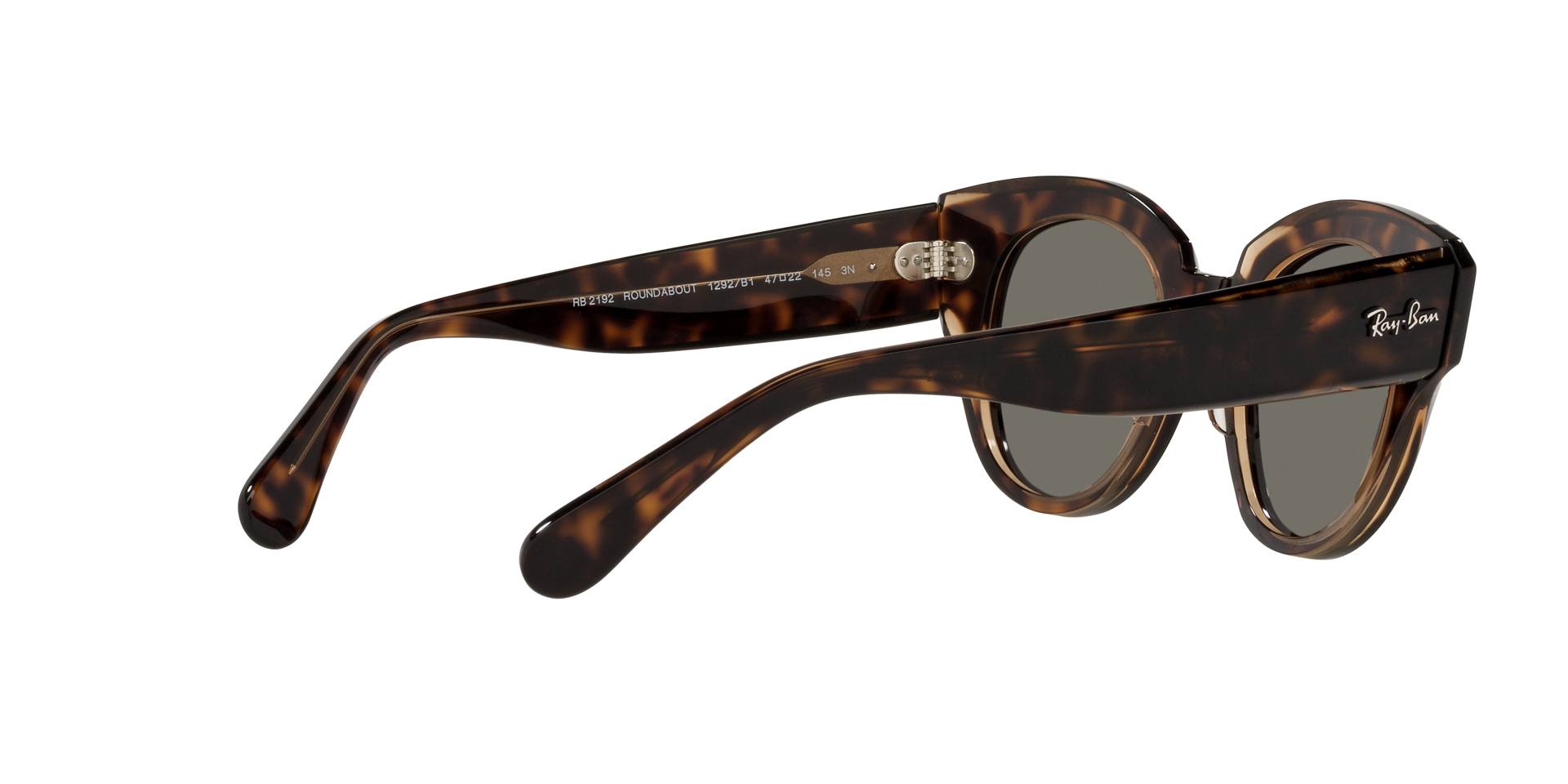 0RB2192_Tortoise-1292B1_9.png