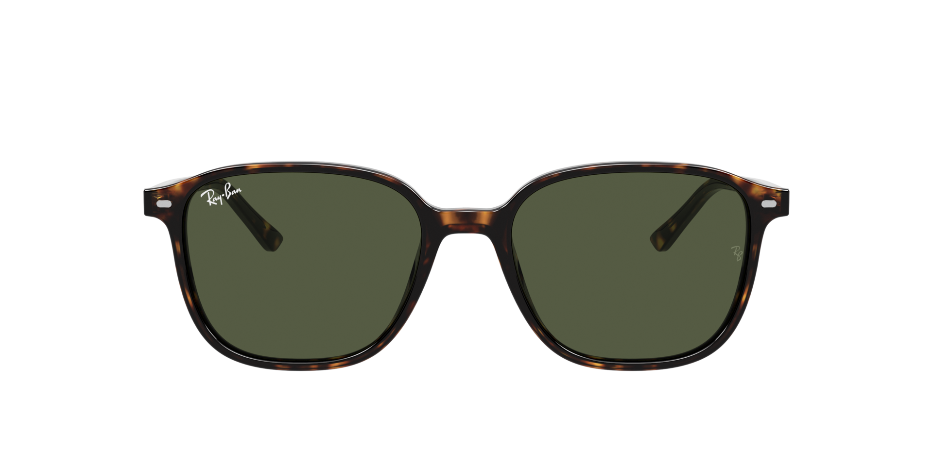 0RB219390231_brown_2.png