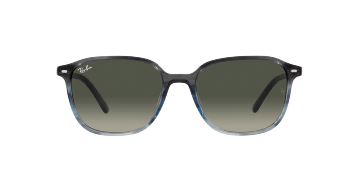 0RB2193_grey_7.jpg