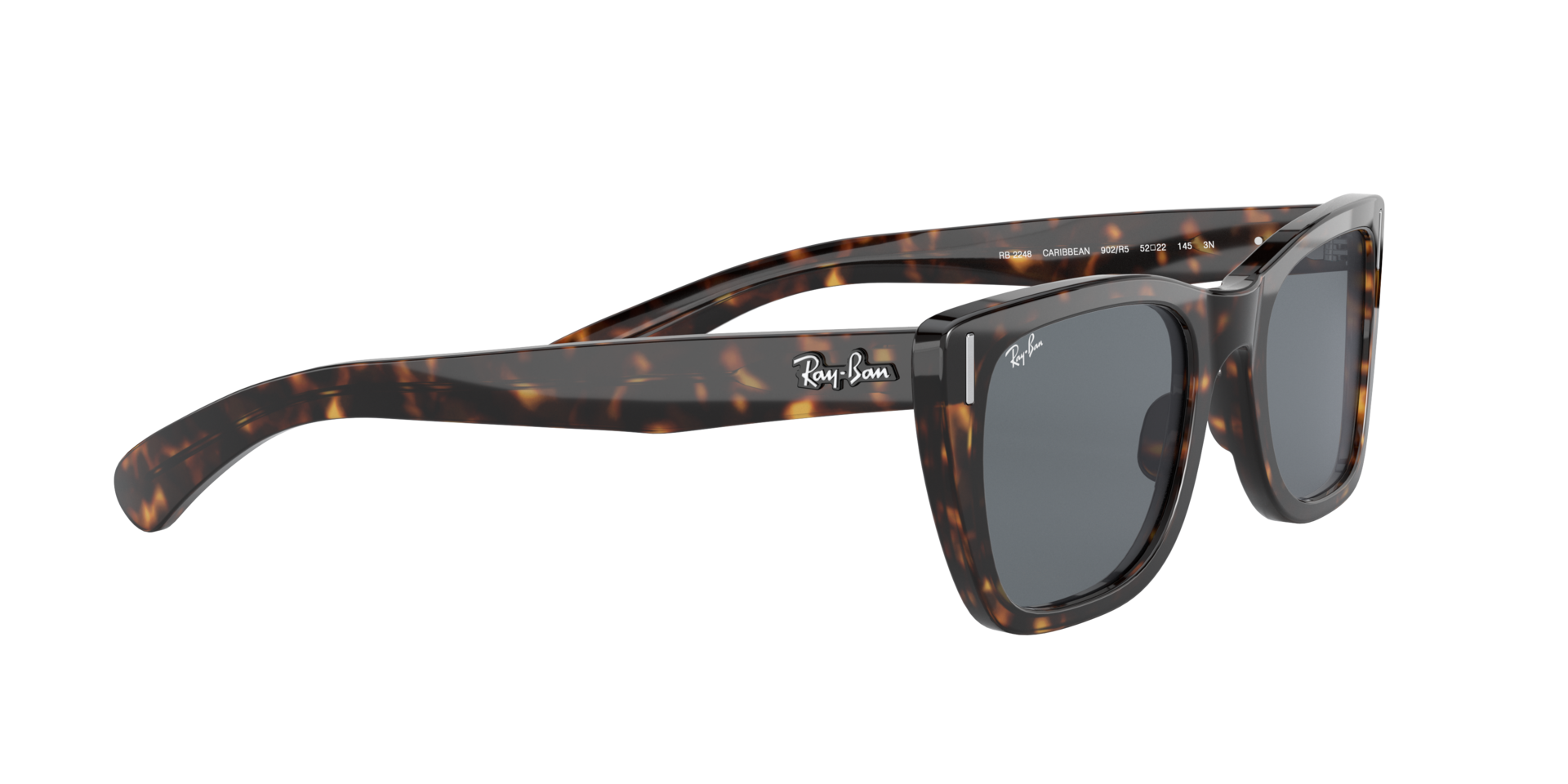 0RB2248902R5_tortoise_11.png
