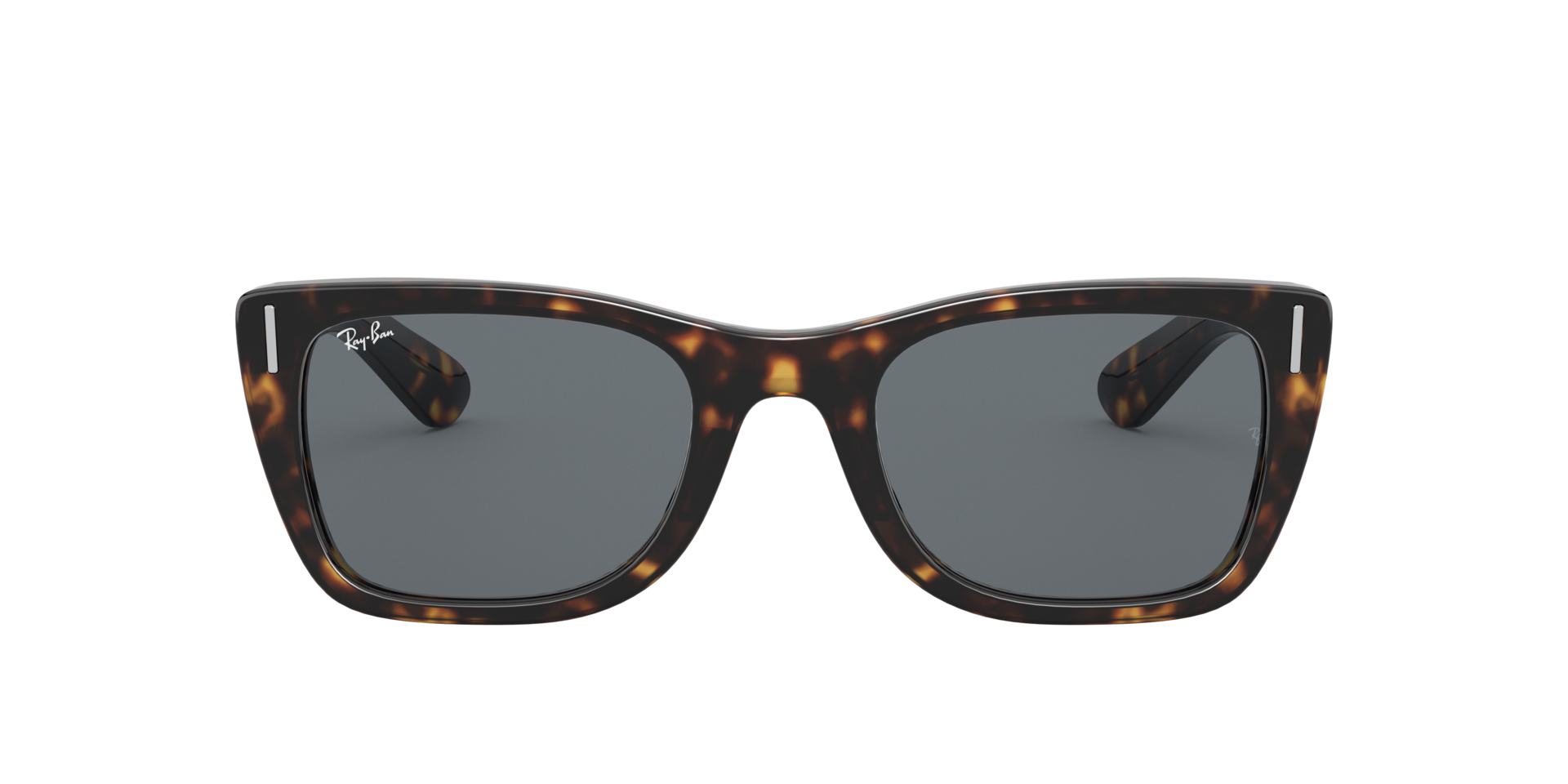 0RB2248902R5_tortoise_2.png