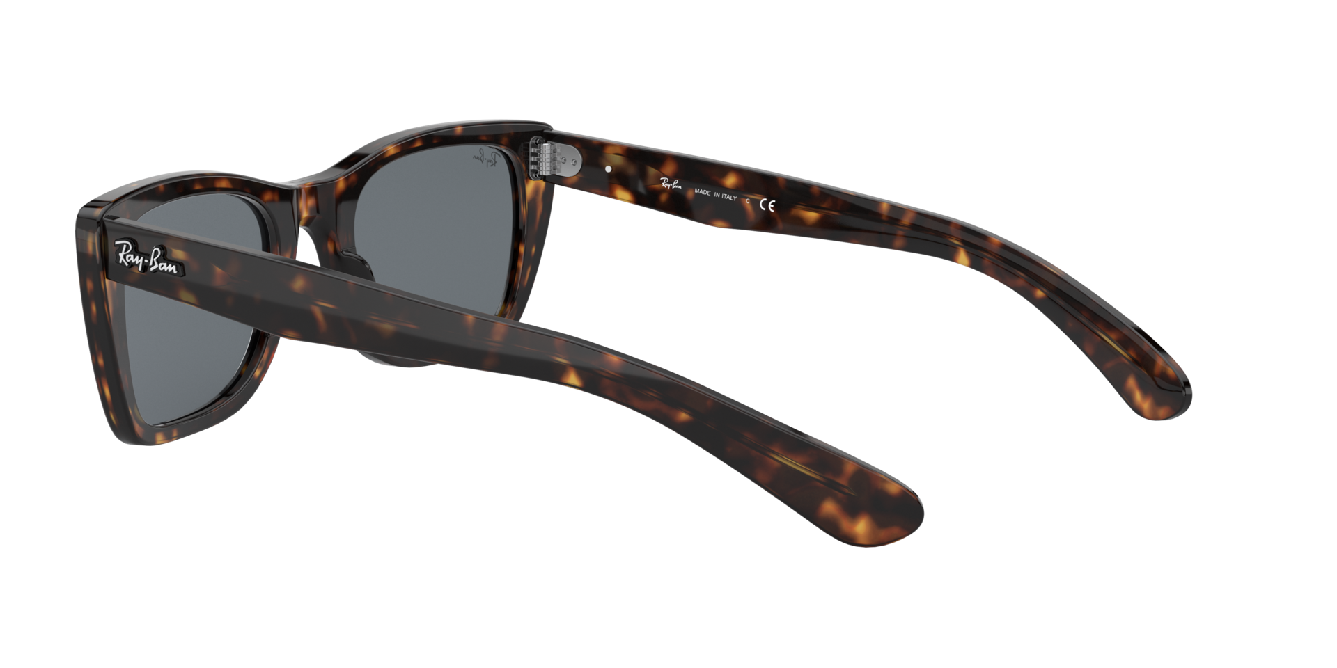 0RB2248902R5_tortoise_5.png