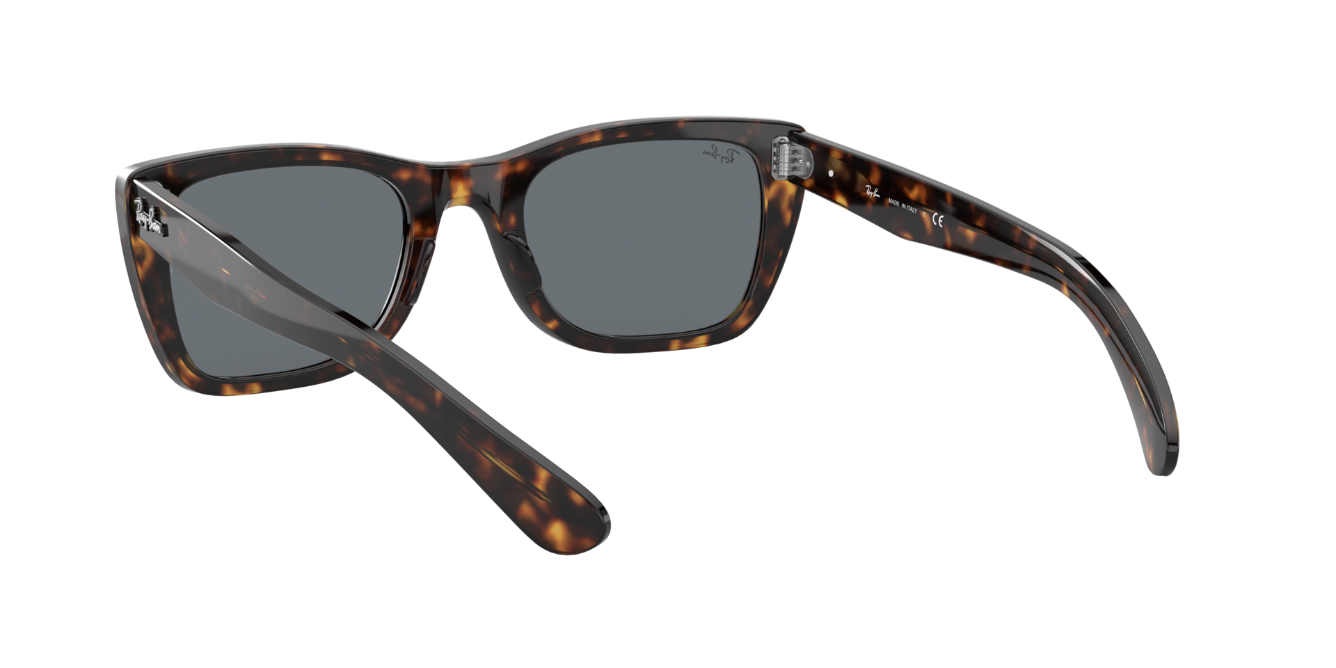 0RB2248902R5_tortoise_6.png