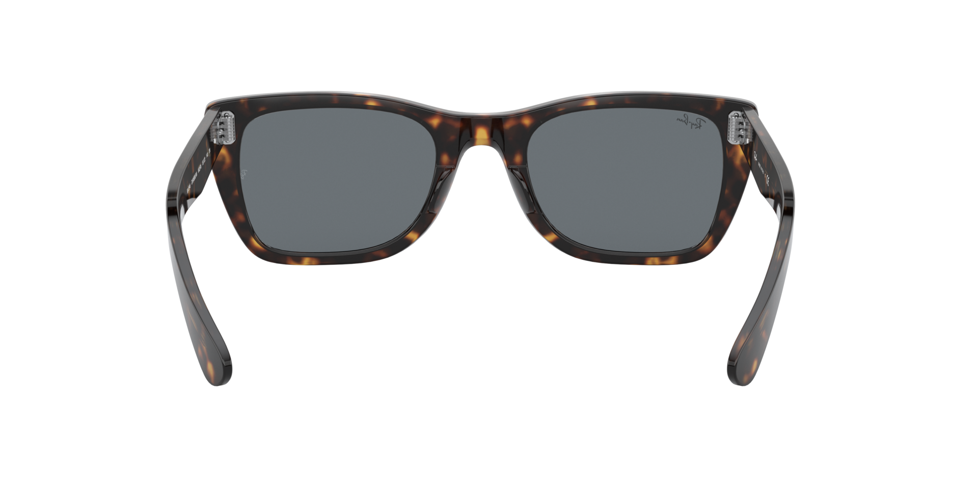 0RB2248902R5_tortoise_7.png