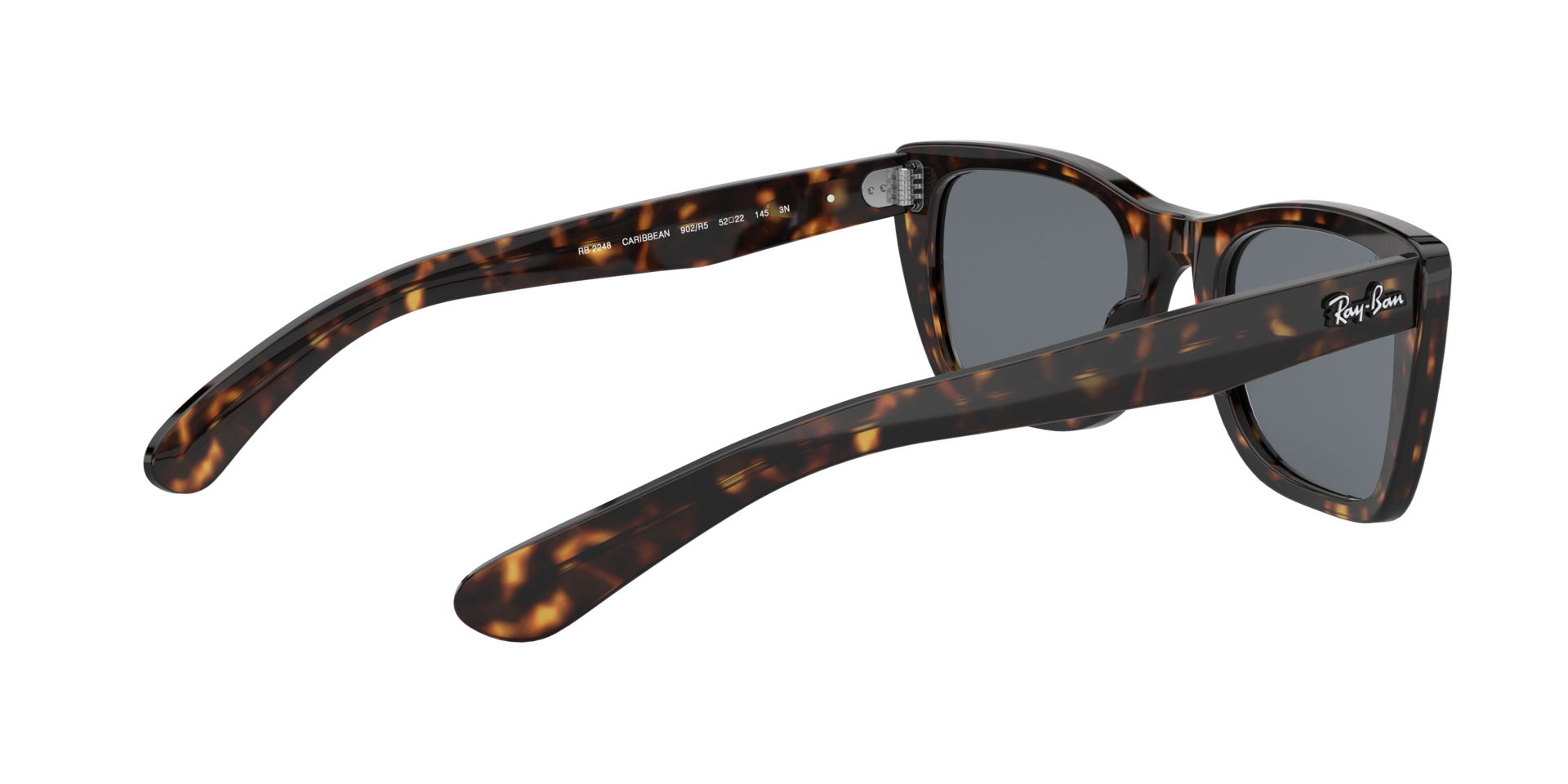 0RB2248902R5_tortoise_9.png