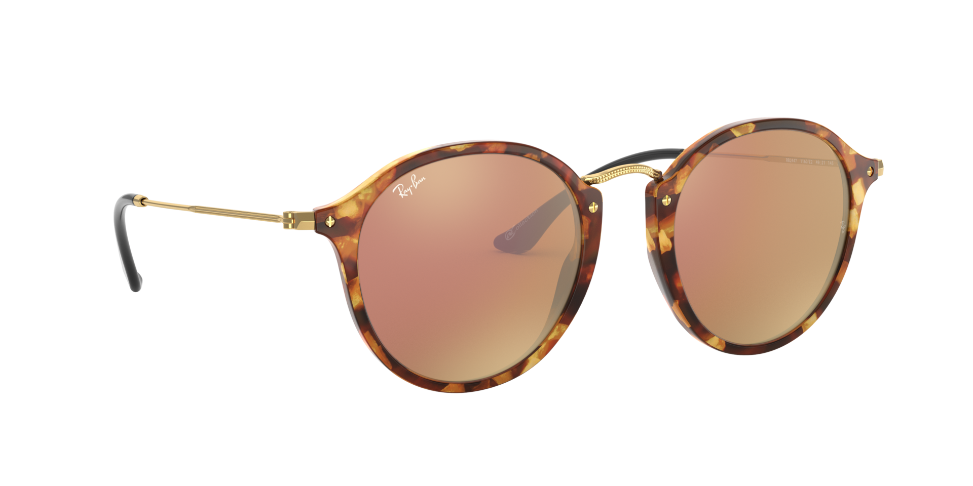 0RB2447_brown-1160Z2_12.png