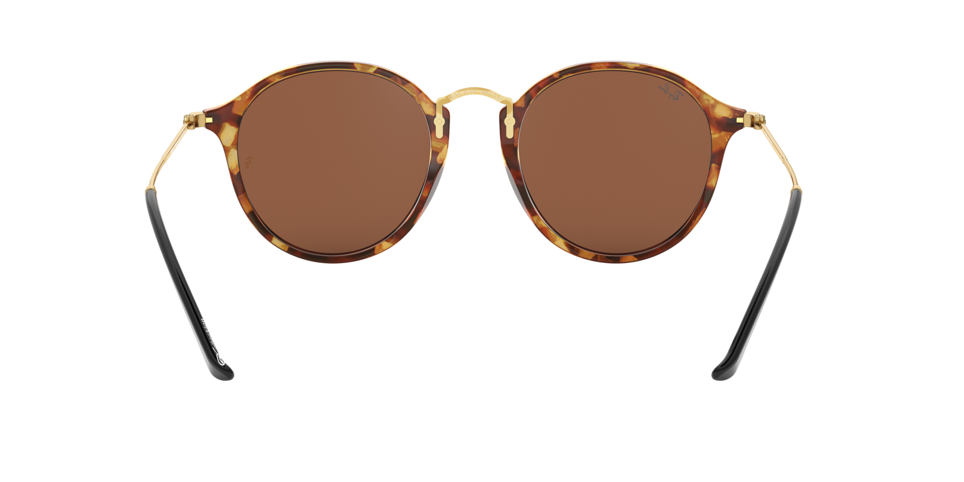 0RB2447_brown-1160Z2_7.png