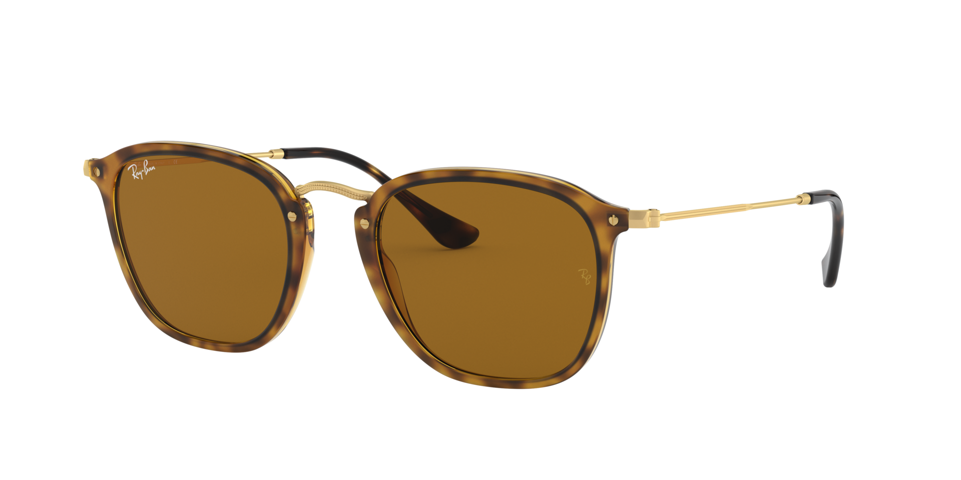 0RB2448_brown-N710