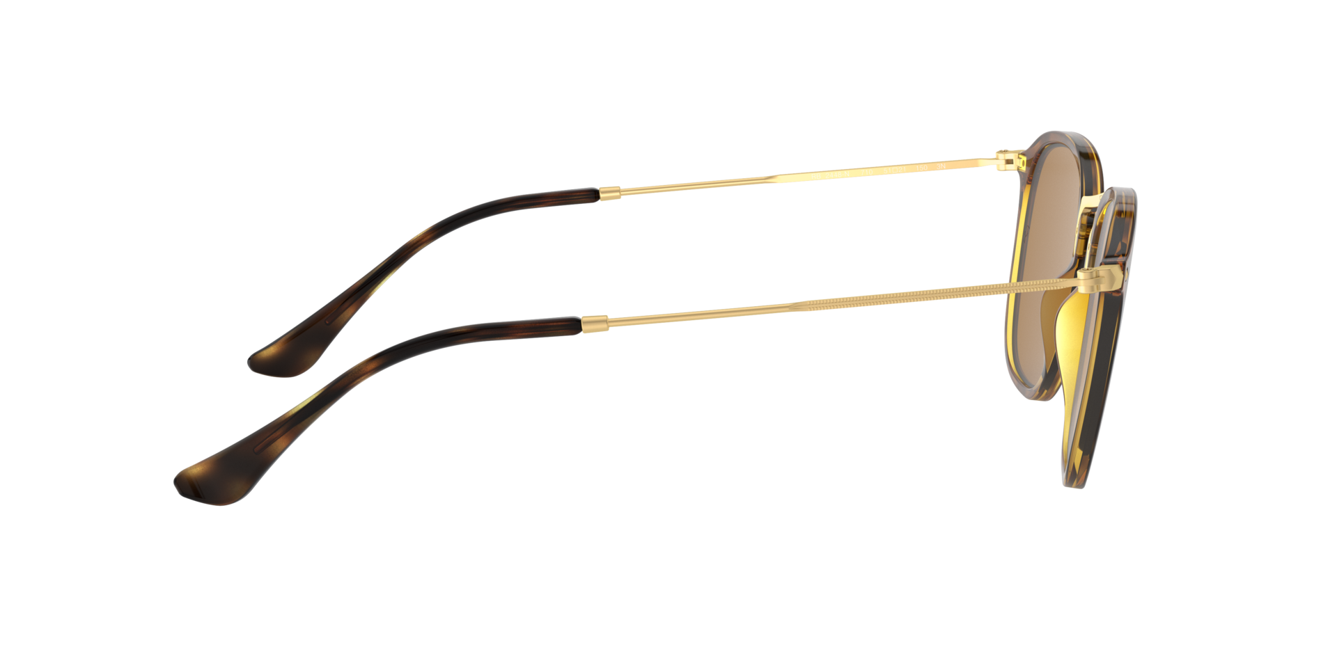0RB2448_brown-N710_10.png