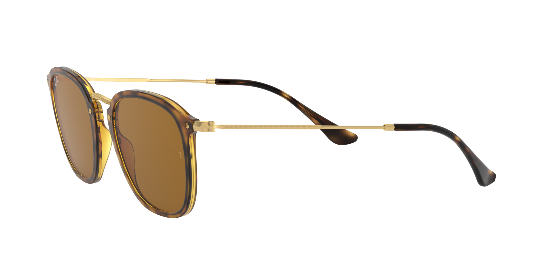 0RB2448_brown-N710_3.png