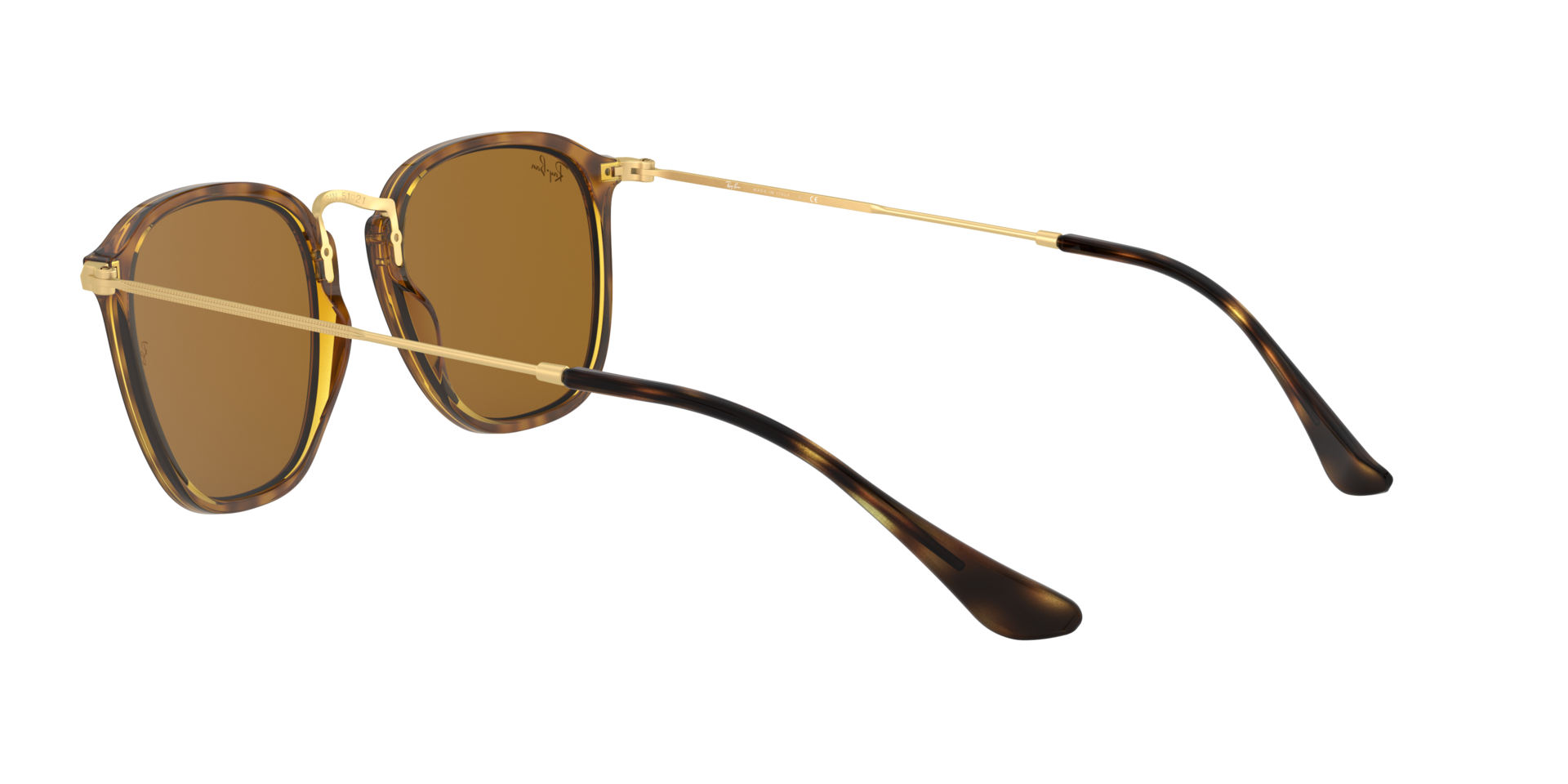0RB2448_brown-N710_5.png