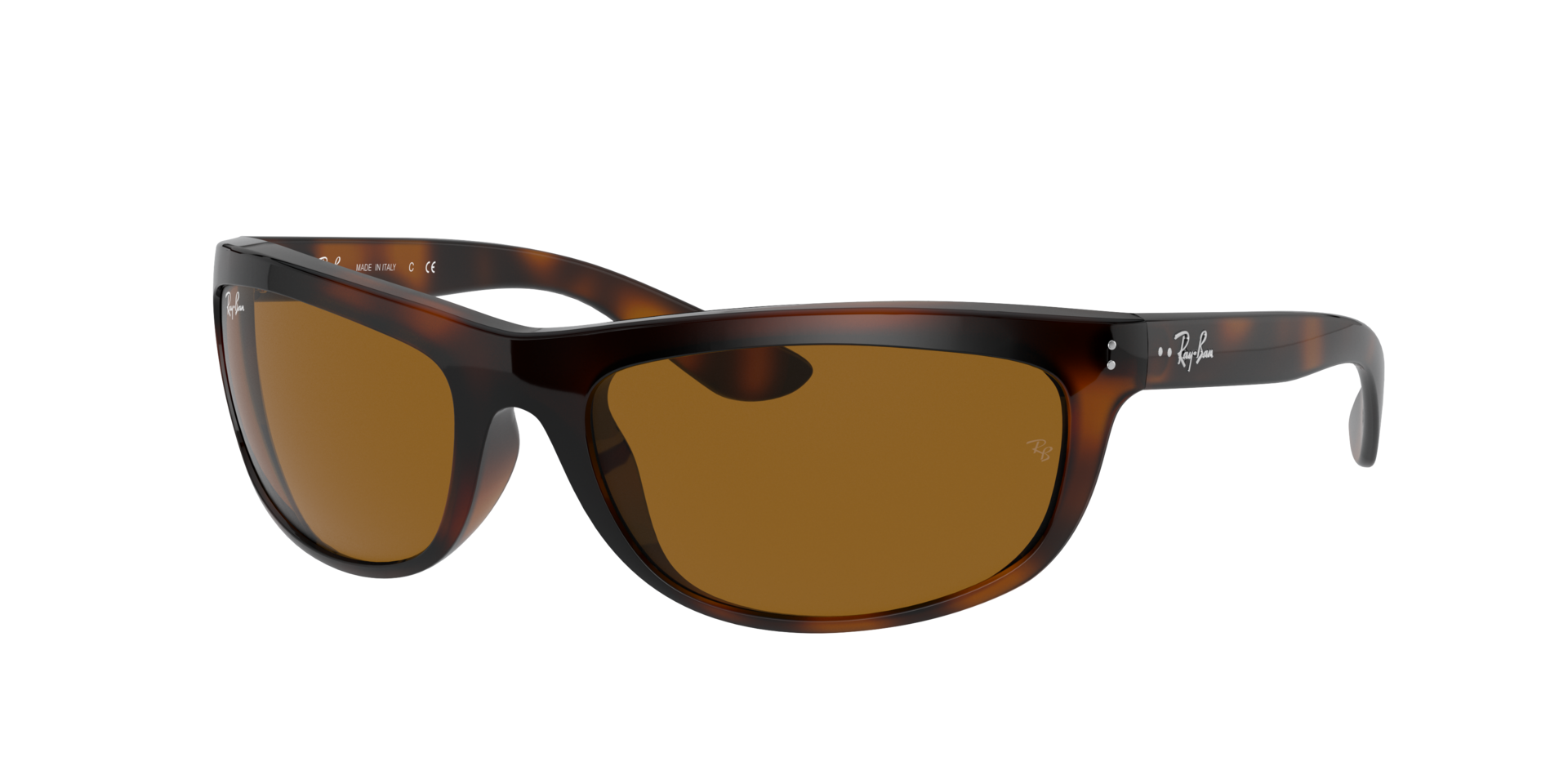 0RB4089650833_tortoise