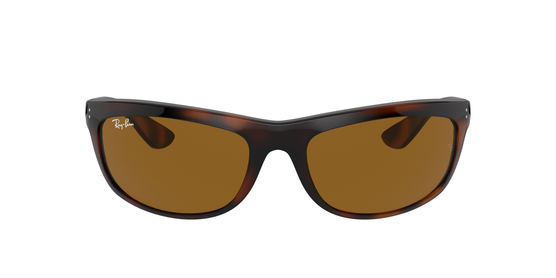 0RB4089650833_tortoise_2.png