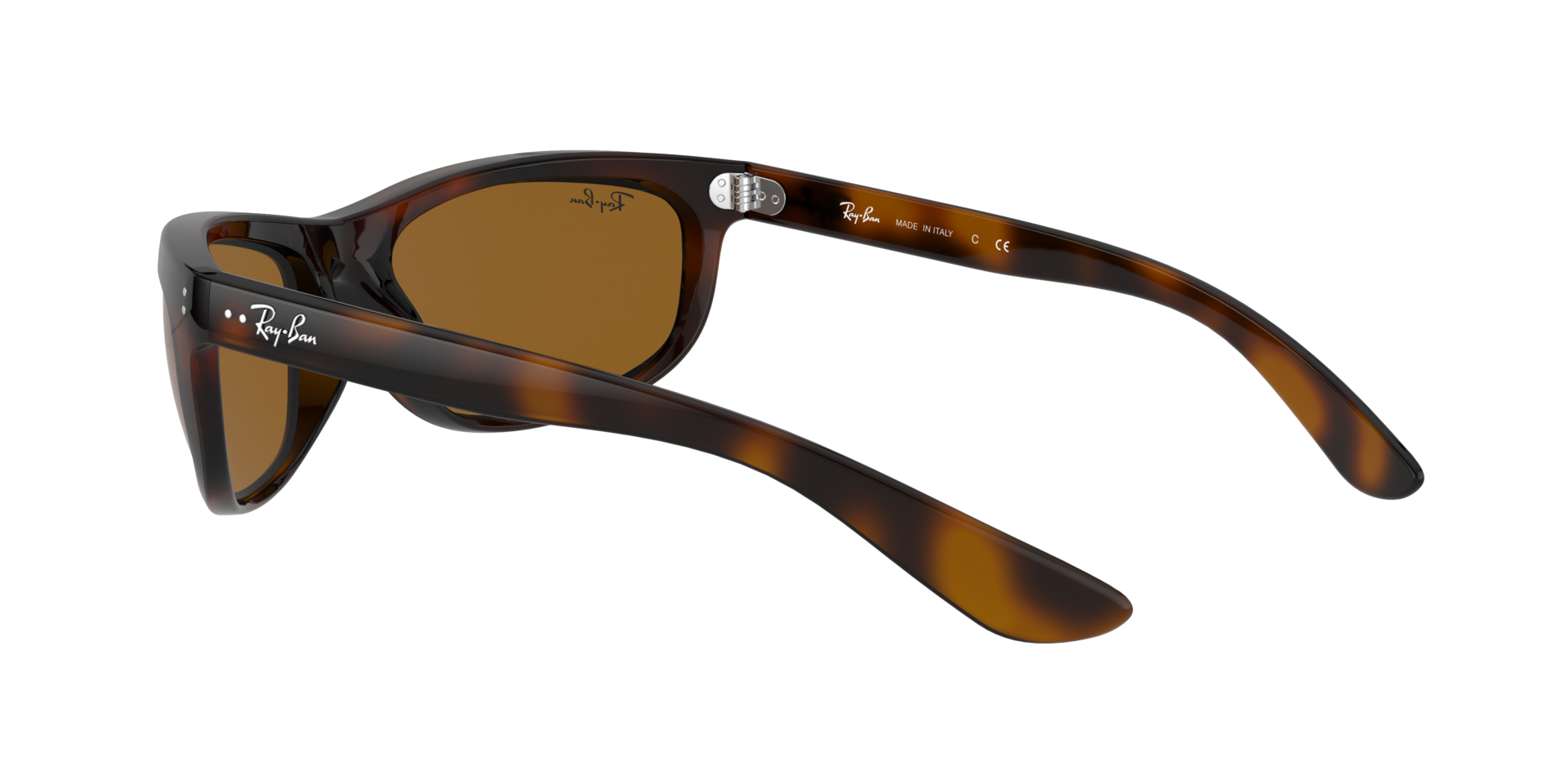 0RB4089650833_tortoise_5.png
