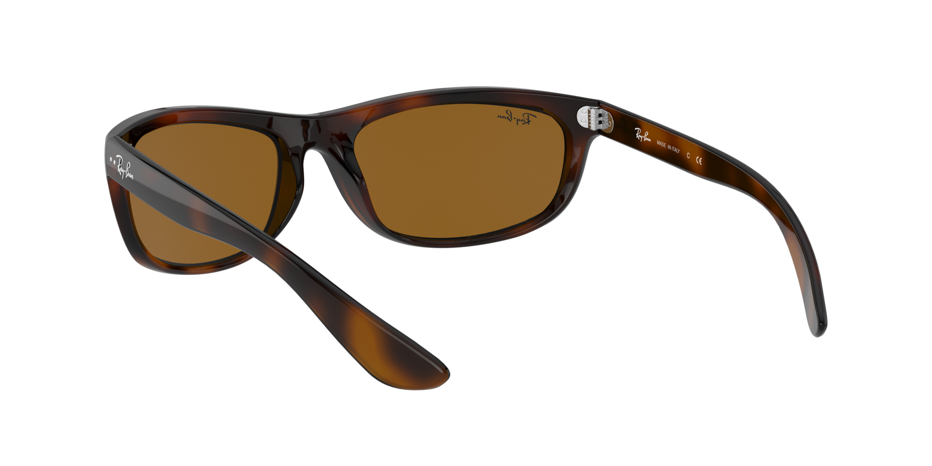 0RB4089650833_tortoise_6.png