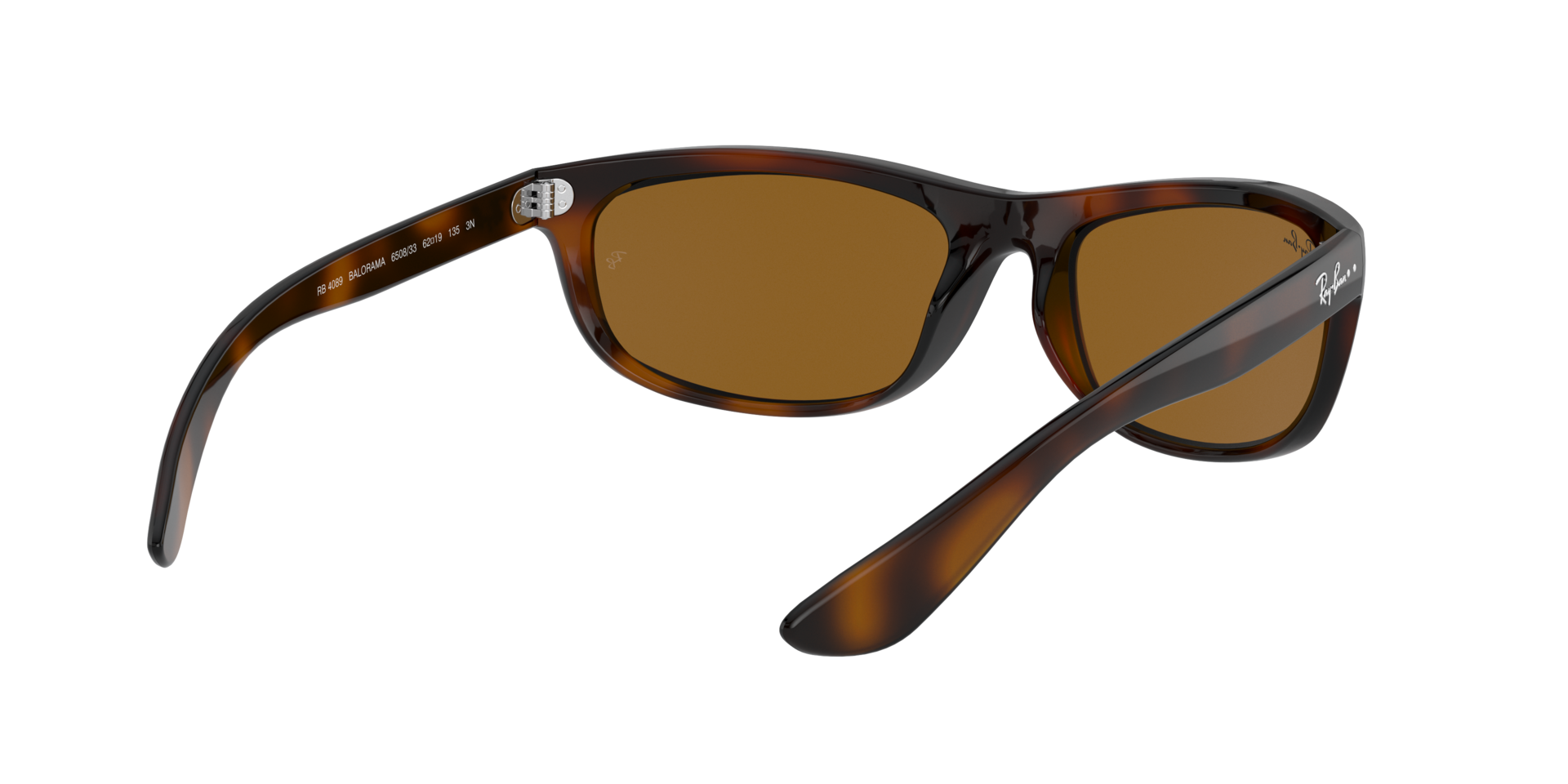 0RB4089650833_tortoise_8.png