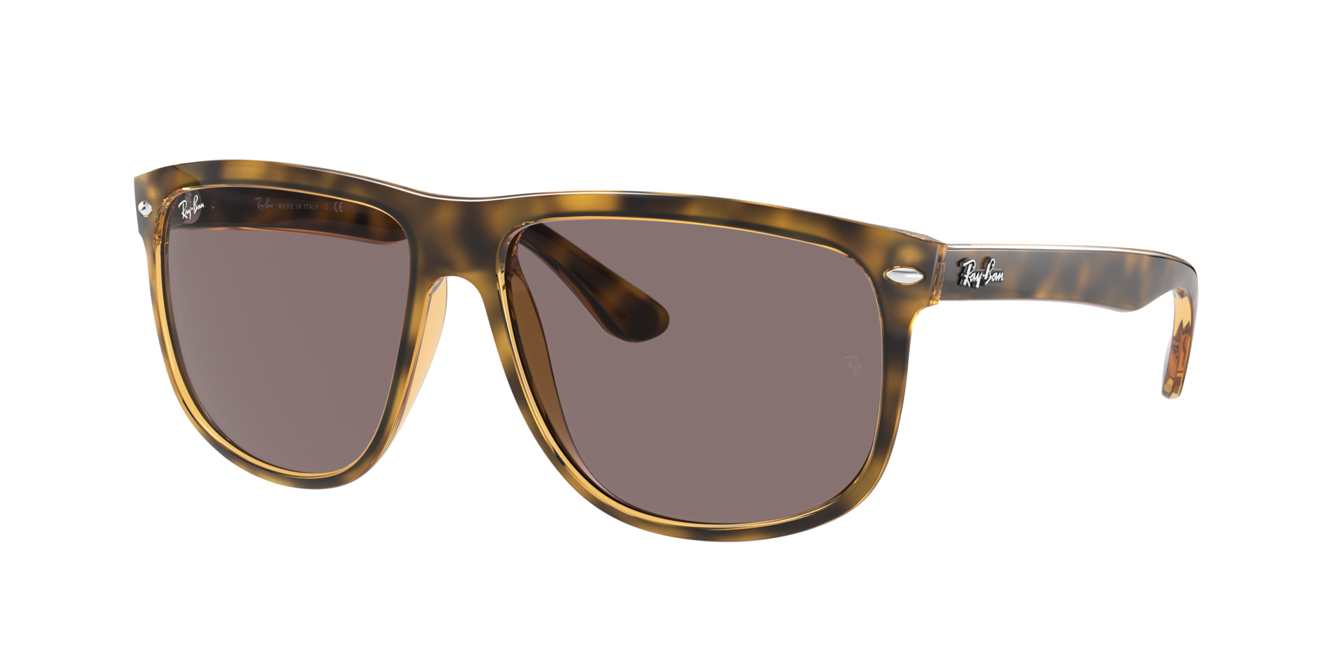 0RB41477107N_tortoise