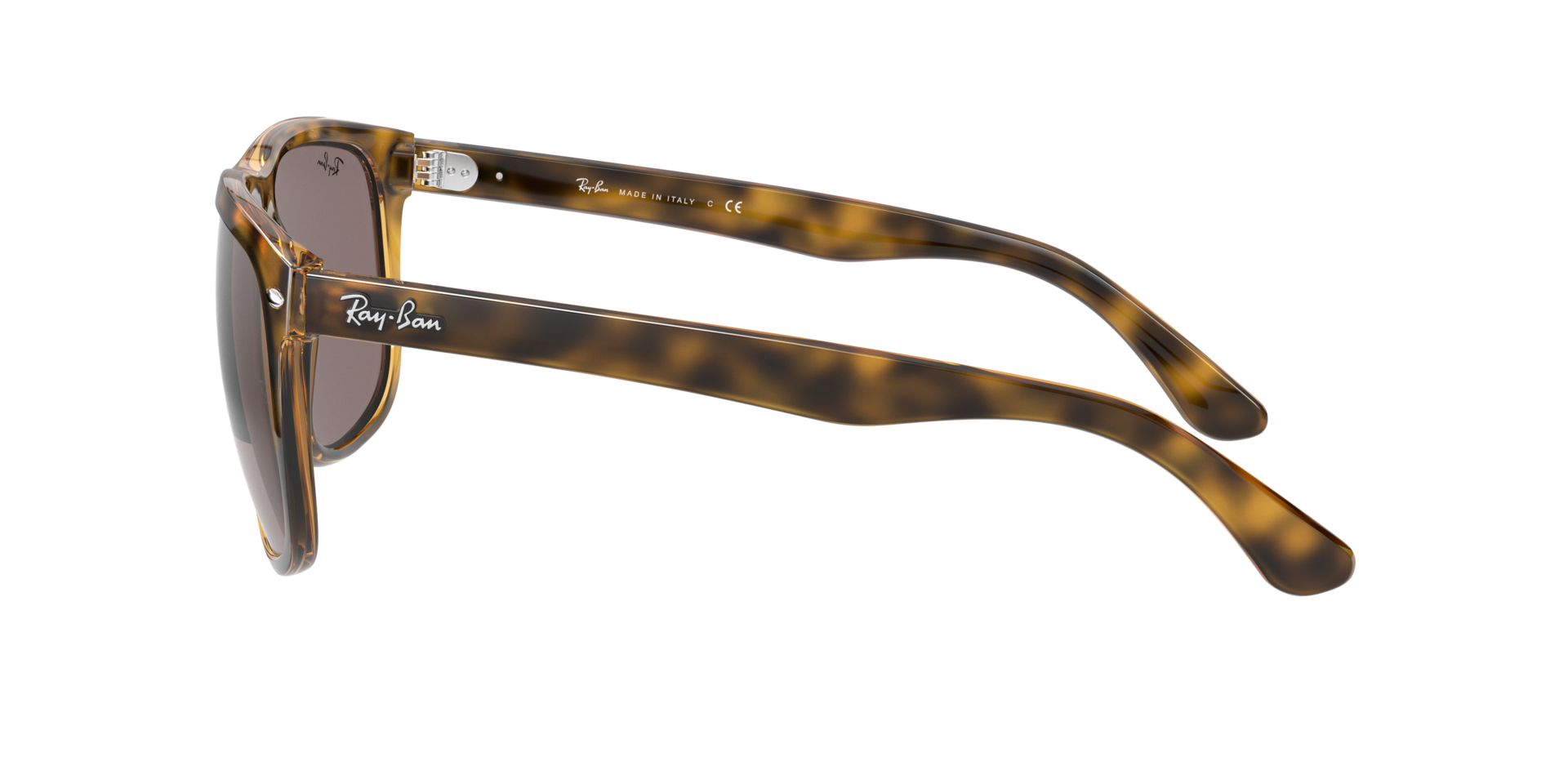 0RB41477107N_tortoise_4.png