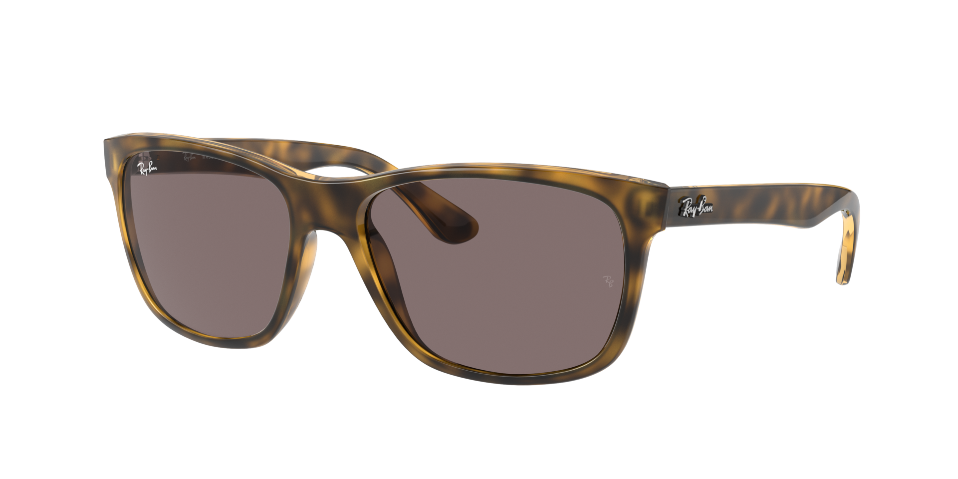 0RB41817107N_tortoise