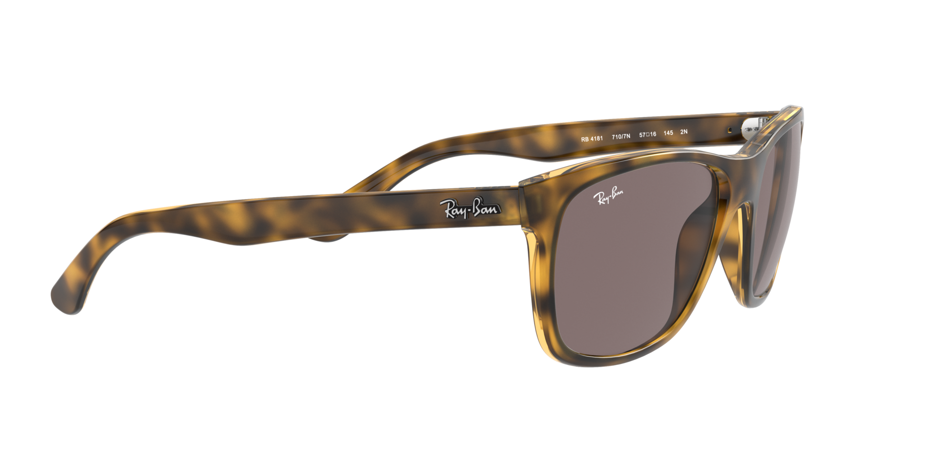 0RB41817107N_tortoise_11.png