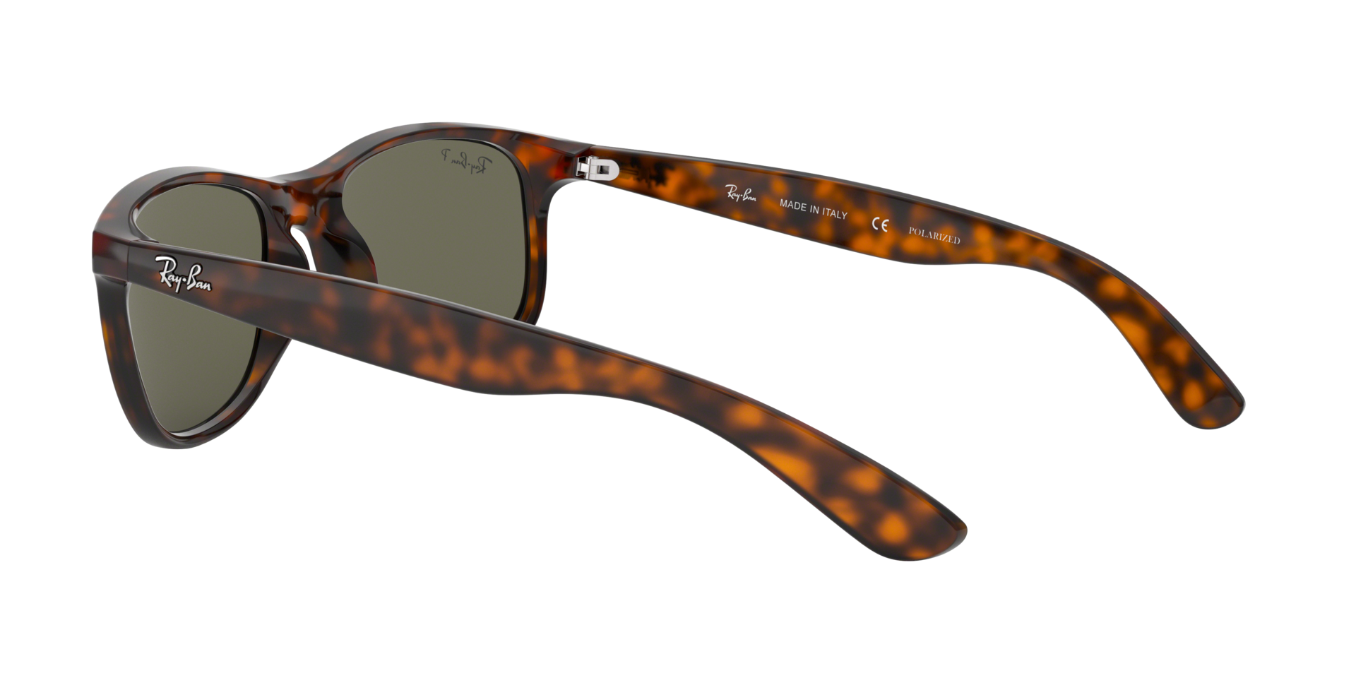 0RB4202_silver-710_Y4_5.png