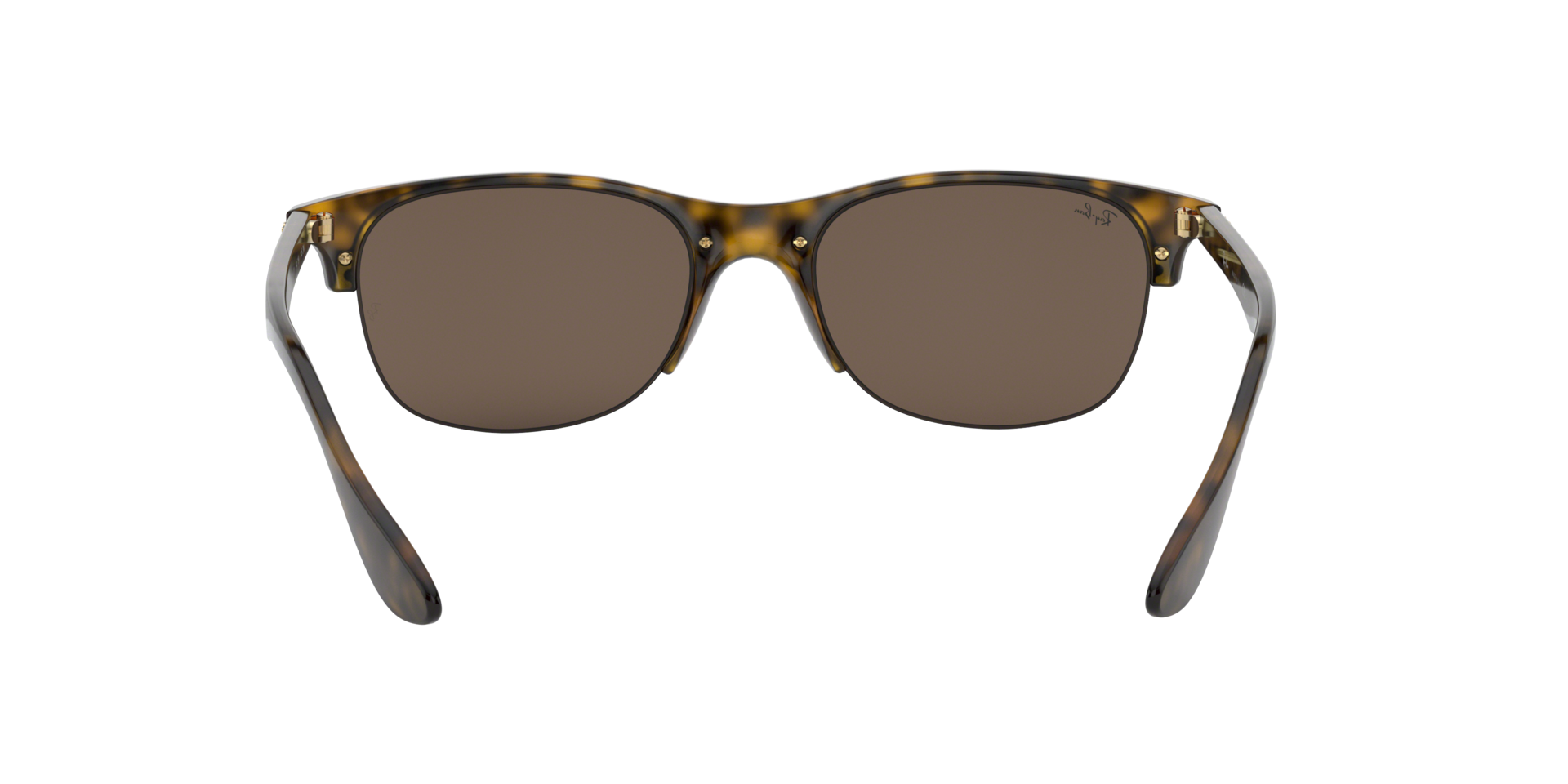 0RB4419_brown-710_73_7.png