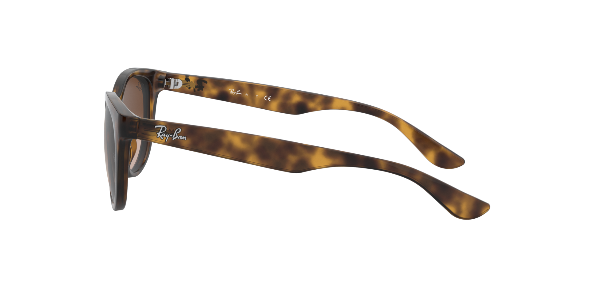 0RJ9068S152_1347_tortoise_4.png